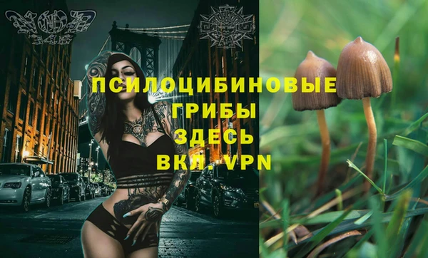 сатива Лабытнанги