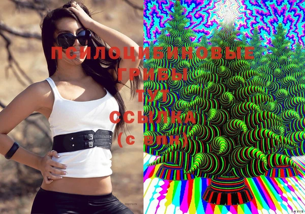 сатива Лабытнанги