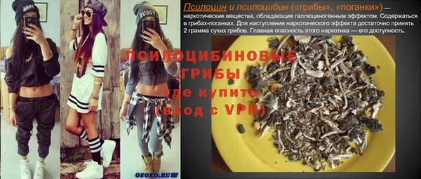 мдпв Ладушкин