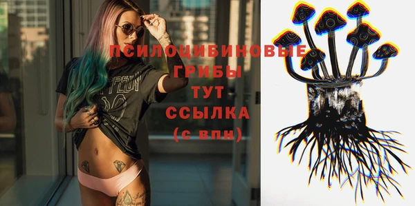 прущие грибы Воткинск